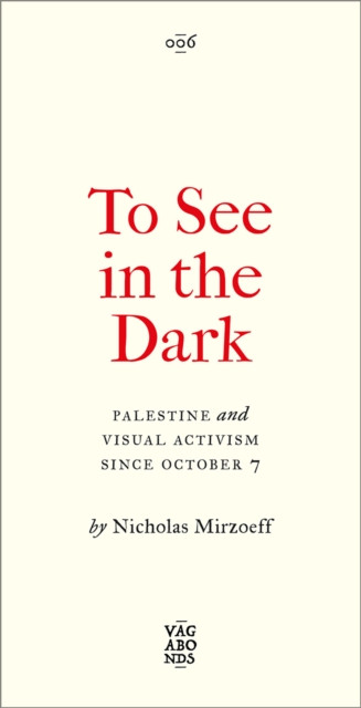 To See In the Dark: Palestine and Visual Activism Since October 7