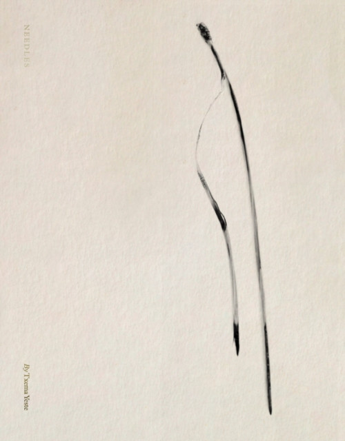 Txema Yeste: Needles