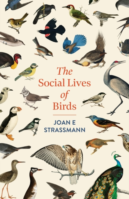 The Social Lives of Birds: a must-read for bird and nature lovers