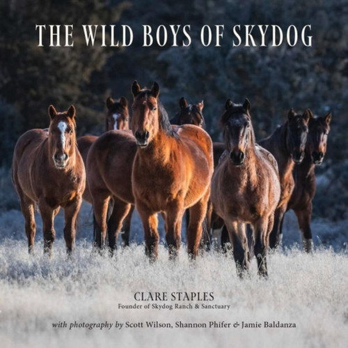 The Wild Boys of Skydog