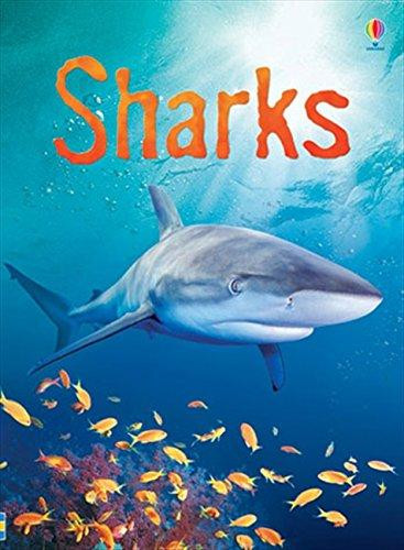 Sharks by Catriona Clarke (Author)