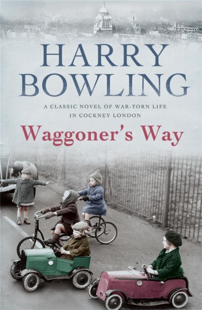 Waggoner's Way: A touching saga of family, friendship and love