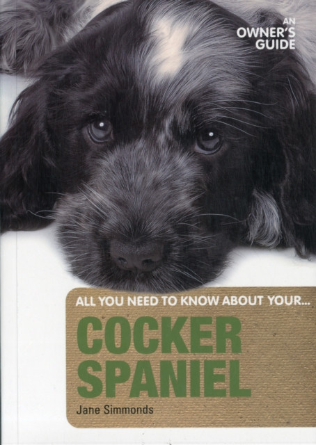 Cocker Spaniel: An Owner's Guide