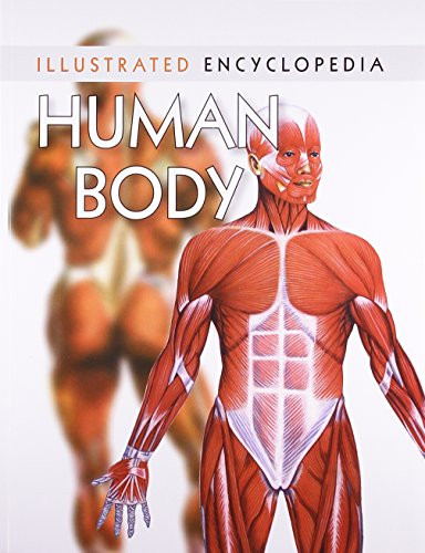 Human Body - 9788131906446