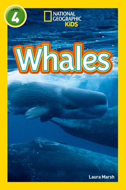 Whales: Level 4