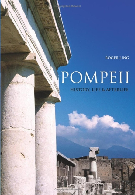Pompeii: History, Life & Afterlife