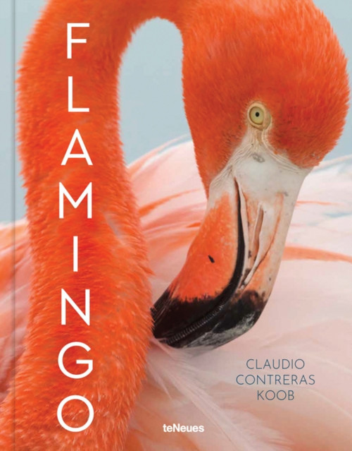 Flamingo - 9783961713875