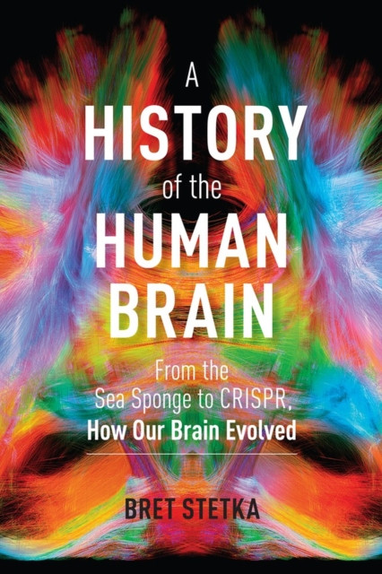 A History of the Human Brain: From the Sea Sponge to CRISPR, How Our Brain Evolved