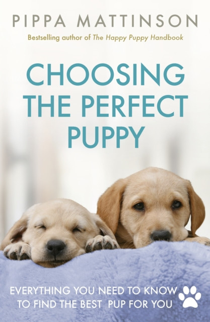 Choosing The Perfect Puppy