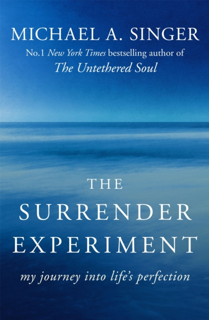The Surrender Experiment: My Journey Into Life'S Perfection
