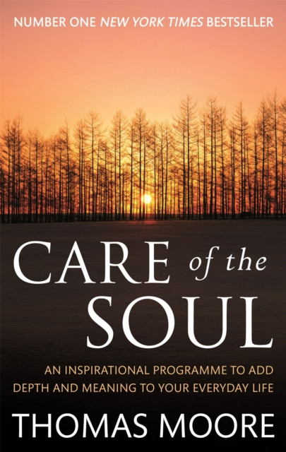 Care Of The Soul: An Inspirational Programme To Add Depth And Meaning To Your Everyday Life