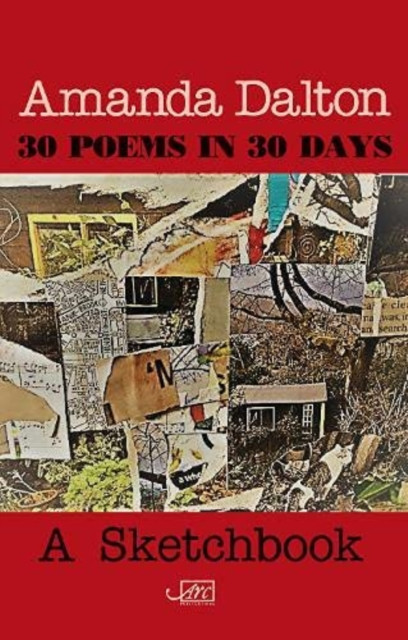 30 Poems in 30 Days: A Sketchbook