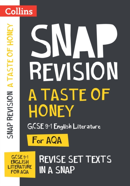 A Taste of Honey AQA GCSE 9-1 English Literature Text Guide: Ideal for the 2026 and 2027 Exams