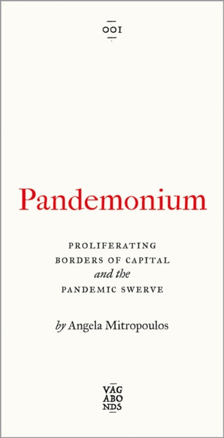 Pandemonium: Proliferating Borders of Capital and the Pandemic Swerve