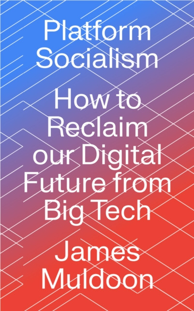 Platform Socialism: How to Reclaim our Digital Future from Big Tech