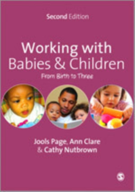 Working With Babies And Children: From Birth To Three
