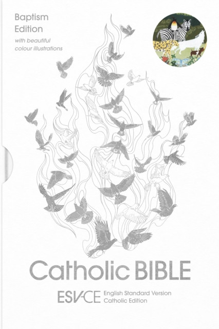 ESV-CE Catholic Bible. The Official Catholic Liturgical Bible for England, Wales and Scotland from Advent 24: Anglicized Baptism Edition: English Standard Version – Catholic Edition
