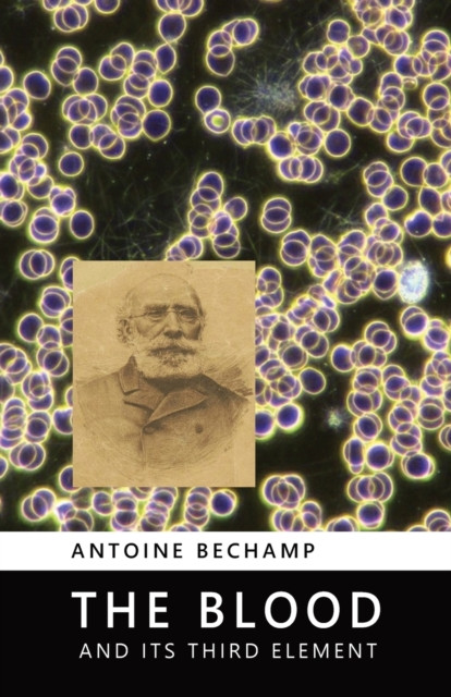 The Blood and Its Third Element