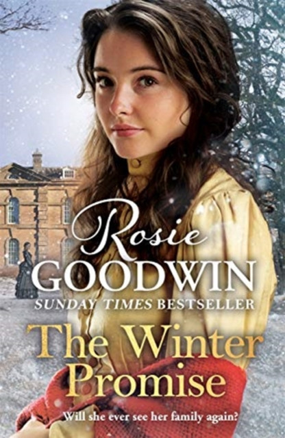 The Winter Promise: A Perfect Cosy Victorian Saga From The Sunday Times Bestselling Author - 9781838772215