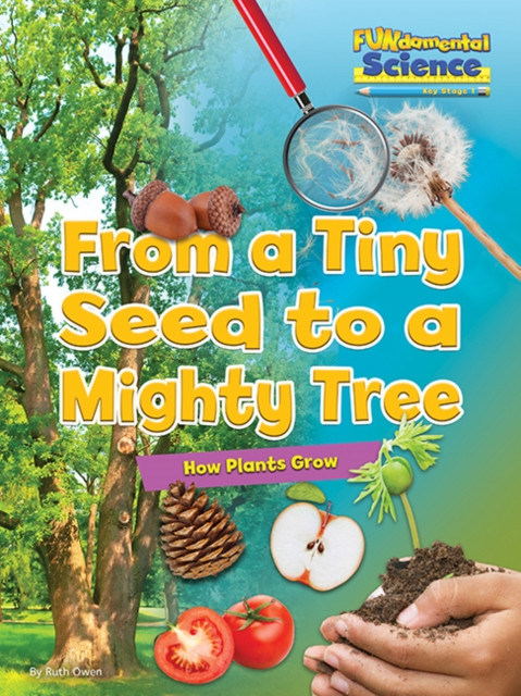 From a Tiny Seed to a Mighty Tree: How Plants Grow