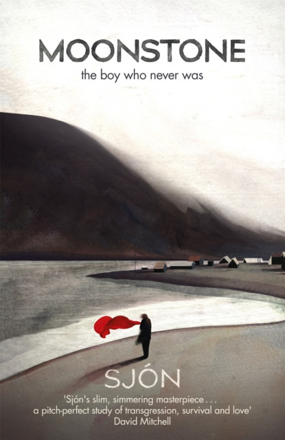 Moonstone: The Boy Who Never Was: 'A brief, brilliant jewel of a book' Guardian