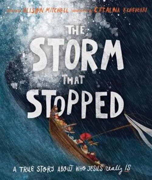 The Storm That Stopped Storybook: A True Story About Who Jesus Really Is