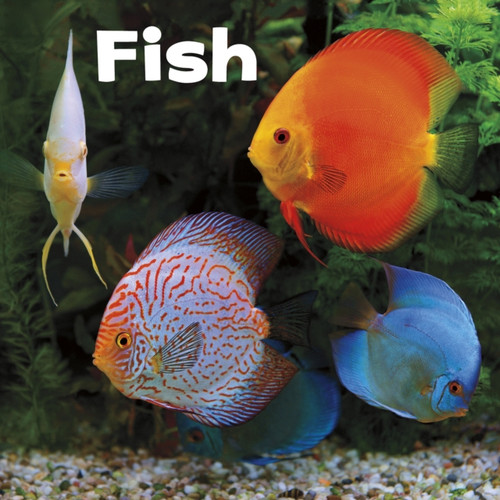 Fish - 9781474754309