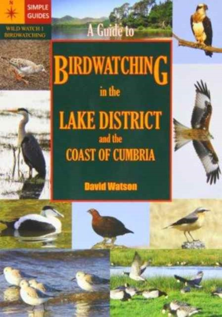 A Guide To Birdwatching In The Lake District And The Coast Of Cumbria