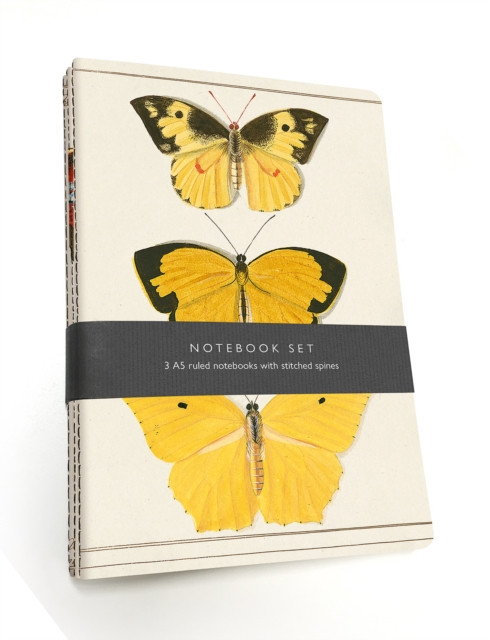 Butterfly Notebook Set: 3 A5 Lined Notebooks With Stitched Spines