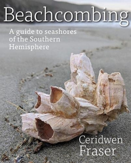 Beachcombing: A Guide To Seashores Of The Southern Hemisphere