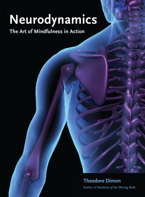 Neurodynamics: The Art Of Mindfulness In Action
