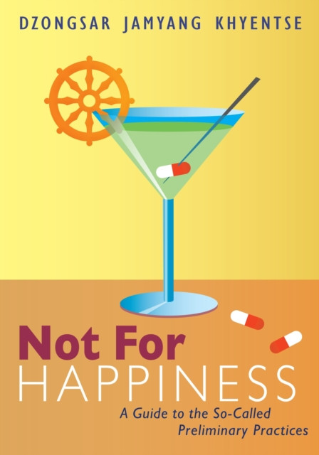Not For Happiness: A Guide To The So-Called Preliminary Practices