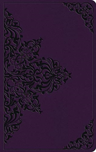 ESV Large Print Value Thinline Bible
