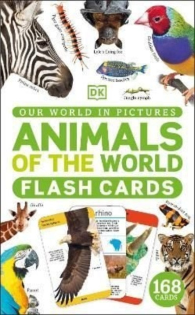 Our World In Pictures Animals Of The World Flash Cards