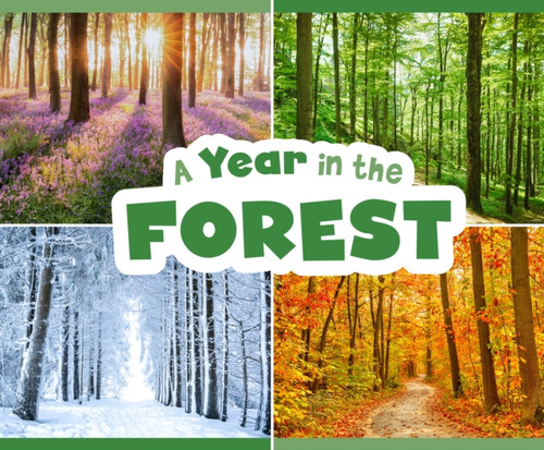 A Year In The Forest - 9781474795470