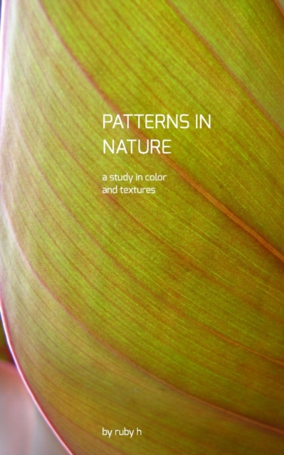 Patterns In Nature