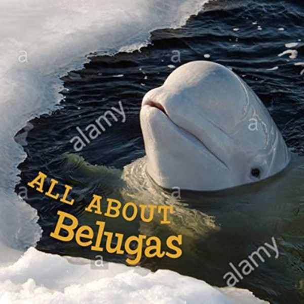 All About Belugas: English Edition