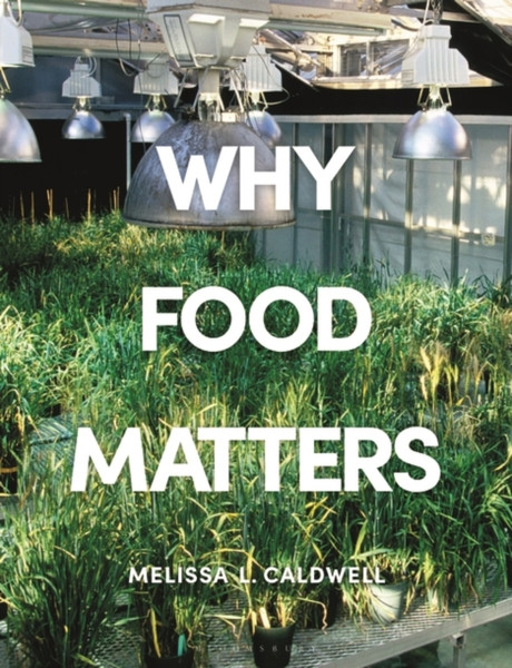Why Food Matters: Critical Debates In Food Studies - 9781350011427