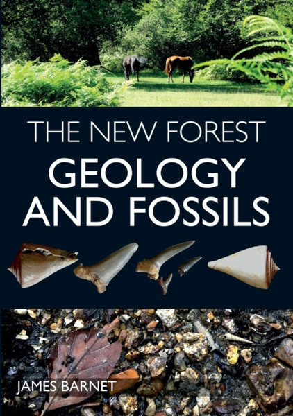 The New Forest: Geology And Fossils