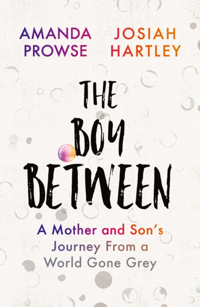 The Boy Between: A Mother And Son'S Journey From A World Gone Grey