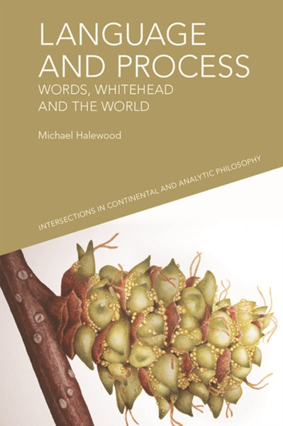 Language And Process: Words, Whitehead And The World