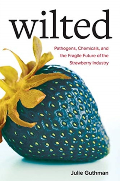 Wilted: Pathogens, Chemicals, And The Fragile Future Of The Strawberry Industry