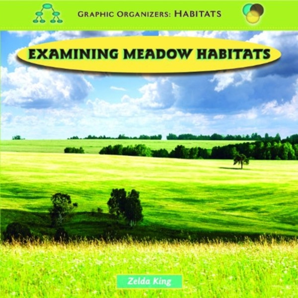Examining Meadow Habitats