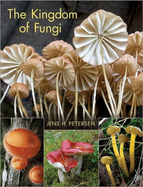 The Kingdom Of Fungi