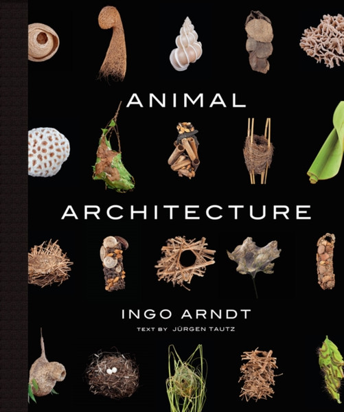 Animal Architecture - 9781419711657