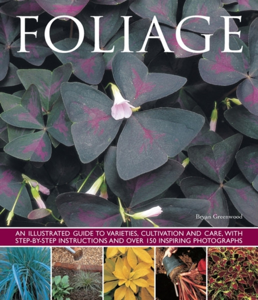 Foliage - 9781780193632