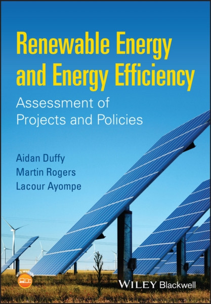 Renewable Energy and Energy Efficiency - Assessment of Projects and Policies