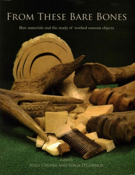 From These Bare Bones: Raw Materials and the Study of Worked Osseous Objects