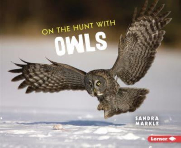 On the Hunt with Owls