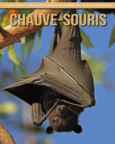 Chauve-Souris: Le Guide Essentiel Consacre a Cet Animal Extraordinaire avec des Photos Etonnantes
